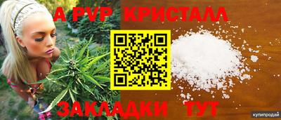 ПСИЛОЦИБИНОВЫЕ ГРИБЫ Волжский